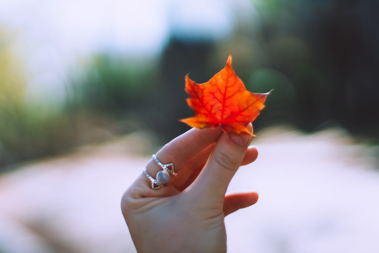 A close-up of a woman’s hand, wearing an elegant and distinctive ring, holding an autumn leaf.
